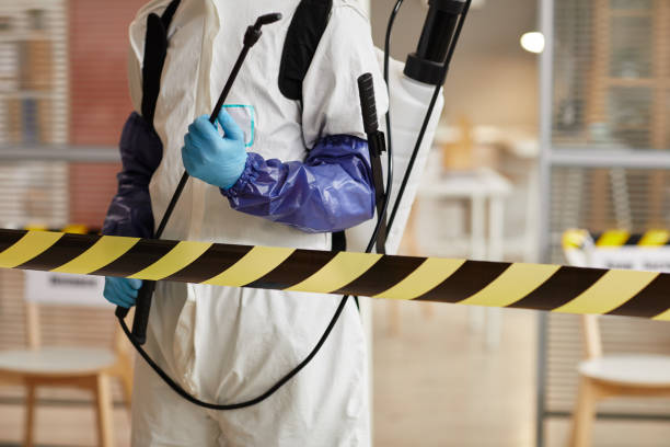 Professional Odor Removal technician working in Laton, CA